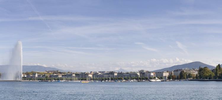 宜必思日内瓦珀蒂朗西酒店(Ibis Genève Petit Lancy)图片
