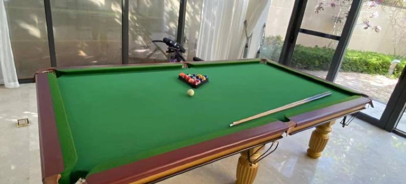 海棠区艾乐泳池度假别墅酒店(海棠北路分店)图片