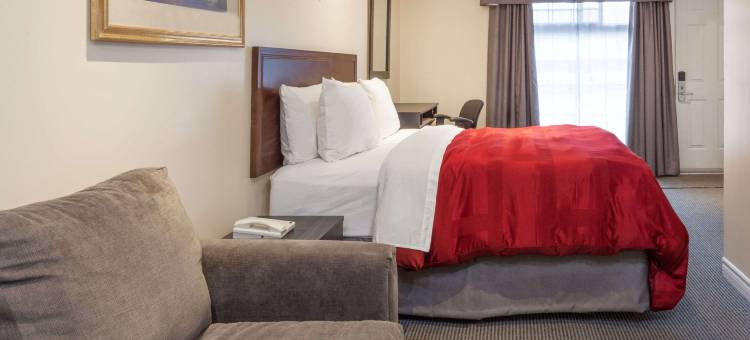 金斯顿骑士酒店(Knights Inn Kingston)图片