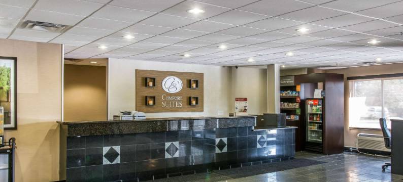 舒适套房酒店(Comfort Suites)图片