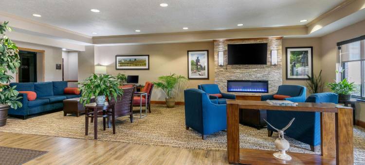 霍普金斯维尔坎贝尔堡附近舒适套房酒店(Comfort Suites Hopkinsville Near Fort Campbell)图片