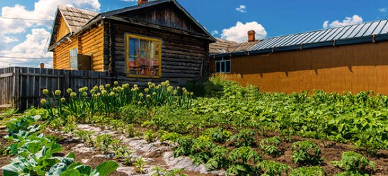 安心住呼伦贝尔蒙古包民宿(恩和路分店)图片