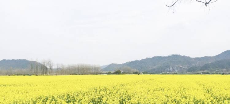 又一春度假别墅(石景路分店)图片