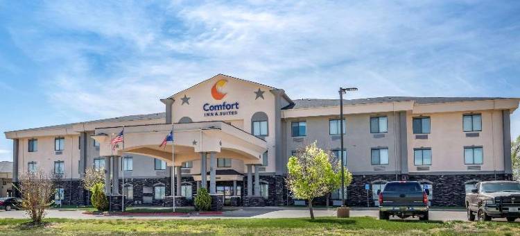 舒适套房酒店(Comfort Inn & Suites)图片