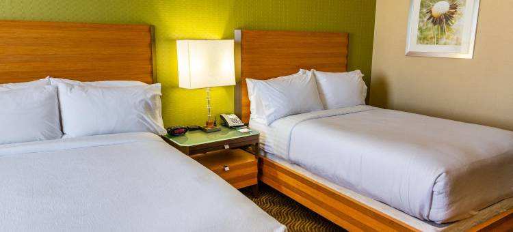 Holiday Inn 圣何塞 - 文娱中心(Holiday Inn San Jose - Silicon Valley)图片