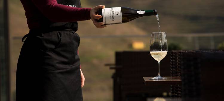 Vila Galé Douro Vineyards 杜罗酒庄与自然度假村(Vila Gale Douro Vineyards)图片
