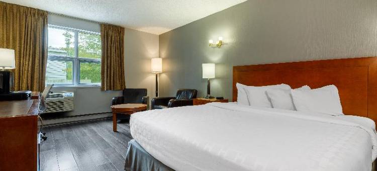 克拉丽奥波恩特-魁北克机场酒店(Clarion Pointe Quebec Airport)图片