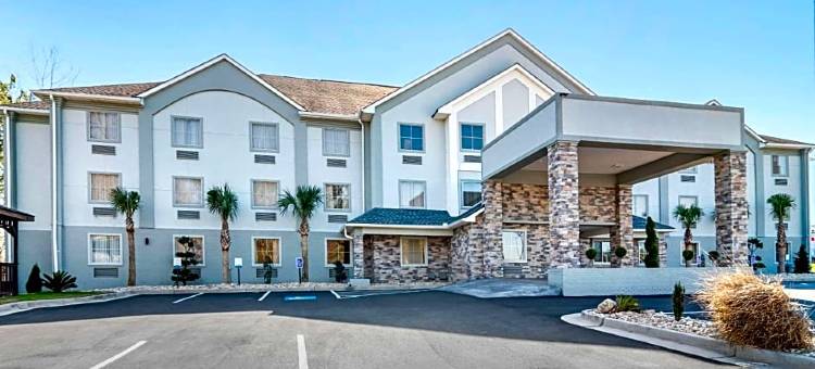 梅肯北I-75舒适套房酒店(Comfort Inn & Suites Macon North I-75)图片