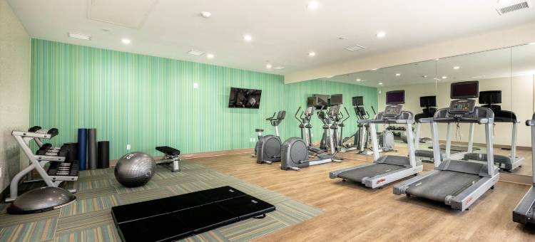 圣何塞硅谷智选假日套房酒店(Holiday Inn Express & Suites SAN JOSE – SILICON VALLEY by IHG)图片