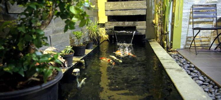 Shakilla House 1 Syariah图片