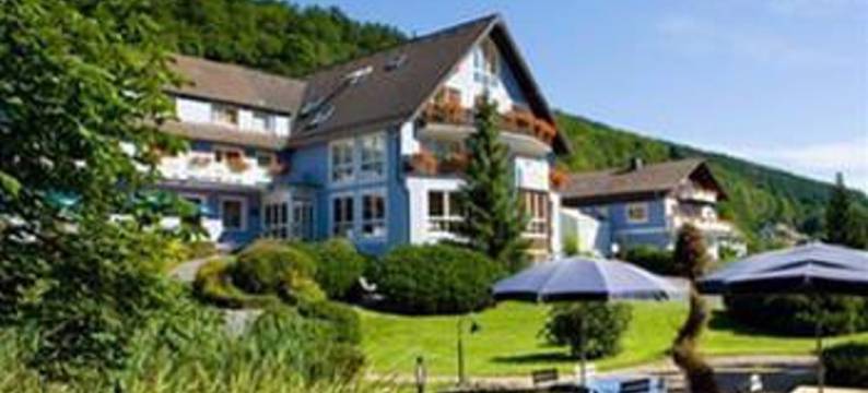 艾菲格德鲁丁酒店(Hotel Eifelgold Rooding)图片