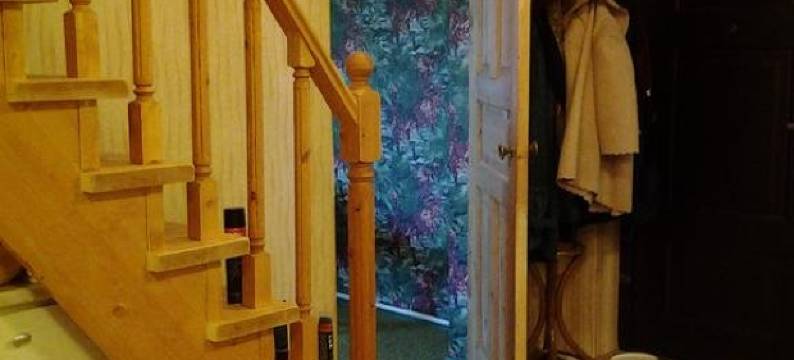 扎里纳亚5号民宿(Homestay on Zarechnaya 5)图片