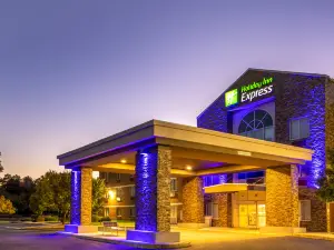 智选假日套房酒店索尔兹伯里 - 德尔玛(Holiday Inn Express & Suites SALISBURY - DELMAR by IHG)