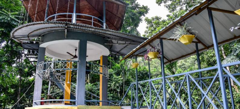 阿拉亚丛林度假村(Aranya Jungle Resorts)图片