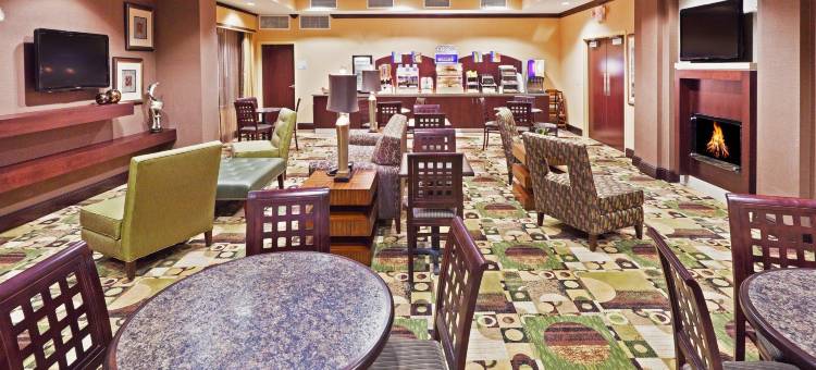 智选假日套房酒店埃尔帕索(Holiday Inn Express & Suites El Paso West)图片