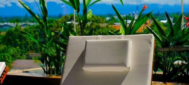 提米卡戴安娜地平线酒店(Horison Diana Timika)图片