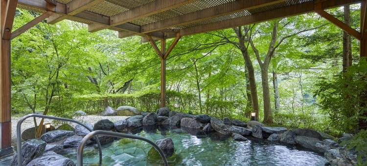 鬼怒川哈韦斯特度假酒店(Hotel Harvest Kinugawa)图片