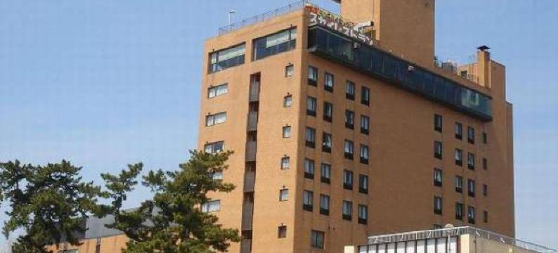 冈崎新​​大酒店(Okazaki New Grand Hotel)图片