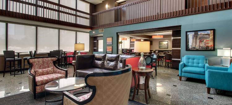 休斯顿加勒里亚德鲁里套房酒店(Drury Inn & Suites Houston Galleria)图片