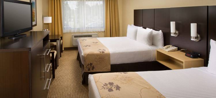 西雅图机场贝斯特韦斯特酒店(Best Western Seattle Airport Hotel)图片