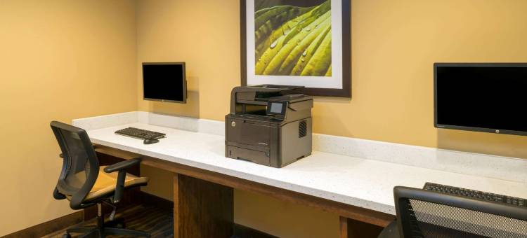 雷德迪尔温德姆套房麦客达酒店(Microtel Inn & Suites by Wyndham Red Deer)图片