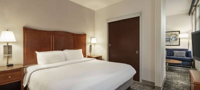 曼哈顿/下城区金融中心希尔顿欢朋酒店(Hampton Inn Manhattan/Downtown-Financal District)图片