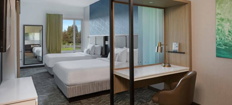 西萨克拉门托SpringHill Suites酒店(SpringHill Suites West Sacramento)图片
