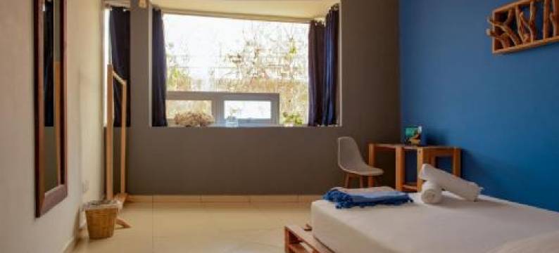 Puerto Dreams H图片