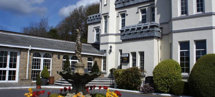 斯特拉代公园酒店(Stradey Park Hotel)图片