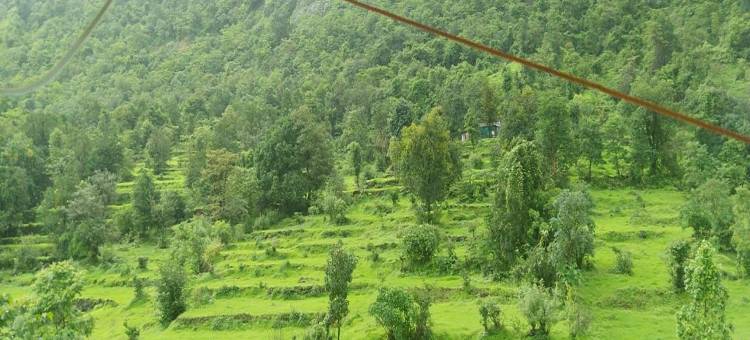 Sadguru Krupa Lodging Farm House图片