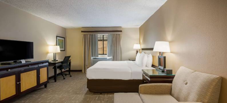 好客贝斯特韦斯特酒店(Best Western Detroit Livonia)图片