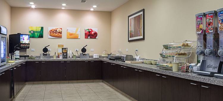 凯艺套房酒店(Quality Inn & Suites)图片