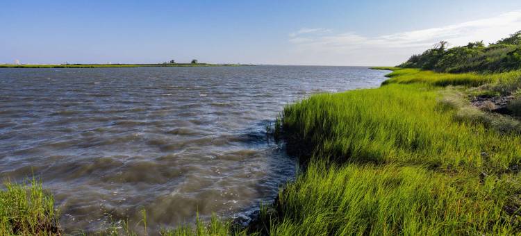 西大西洋城华美达酒店(Ramada by Wyndham West Atlantic City)图片