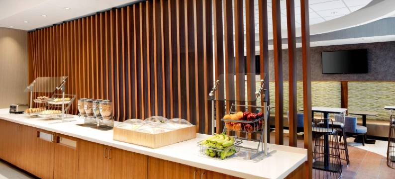 印第安纳波利斯市中心SpringHill套房(SpringHill Suites Indianapolis Downtown)图片