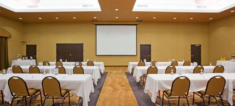 智选假日套房酒店苏福尔斯的布兰顿(Holiday Inn Express & Suites Sioux Falls-Brandon)图片