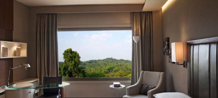 新德里凯悦酒店(Hyatt Regency Delhi)图片