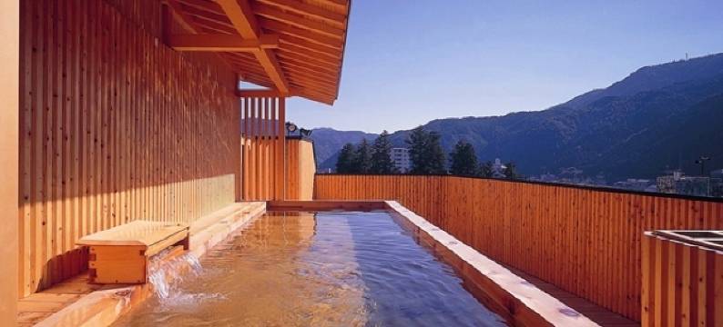 下吕皇家酒店 雅亭(Gero Onsen Gero Royal Hotel Miyabitei)图片