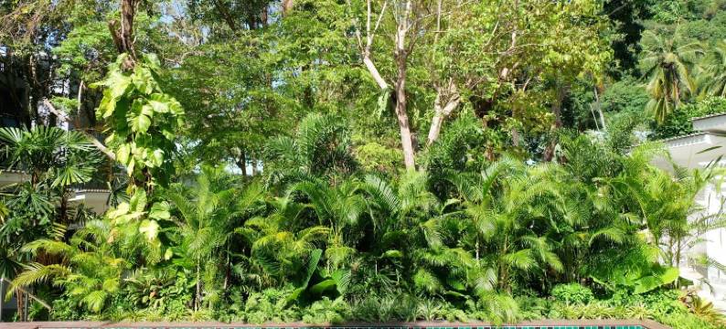 鲸迎奥南度假村(Whalecome Aonang Resort)图片