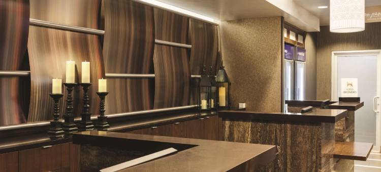 纽约曼哈顿中城东部希尔顿花园酒店(Hilton Garden Inn New York Manhattan Midtown East)图片