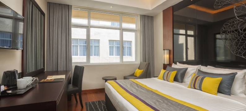 雷努卡城市酒店(Renuka City Hotel)图片