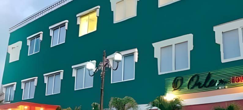 欧冷酒店(Orlen Hotel)图片