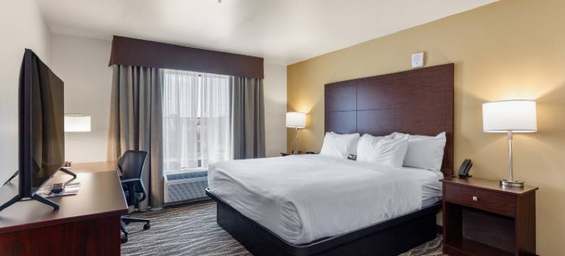 鹅卵石酒店和套房 - 莱因兰德(Cobblestone Hotel & Suites - Rhinelander)图片