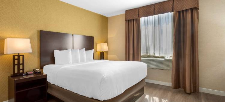 Best Western Plus Plaza Hotel图片