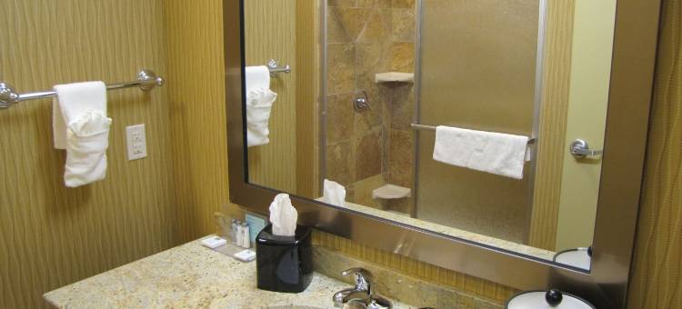 希尔顿欢朋酒店-詹姆斯敦(Hampton Inn & Suites Jamestown)图片