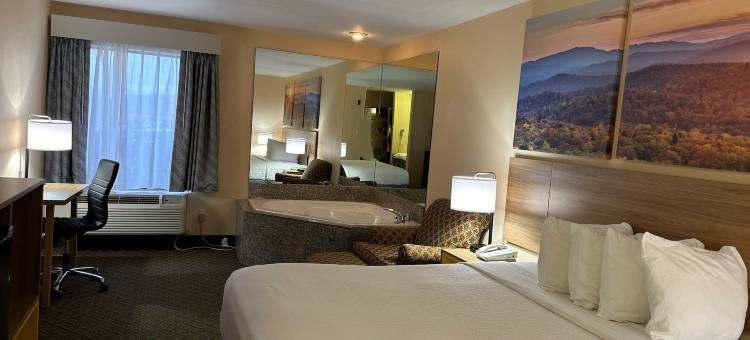 尤尼斯戴斯套房酒店(Days Inn & Suites by Wyndham Eunice)图片