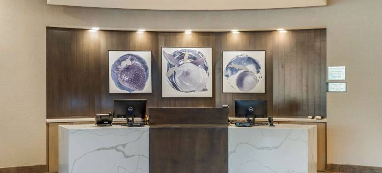 米尔堡坎布里亚酒店(Cambria Hotel Fort Mill)图片