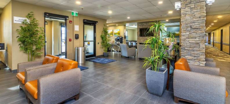 凯艺套房酒店(Quality Inn & Suites)图片