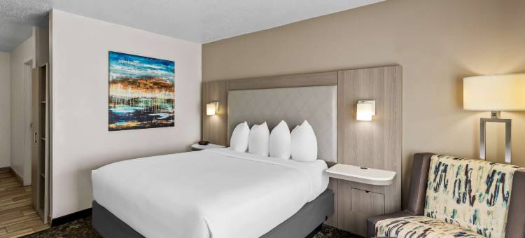 乐趣世界贝斯特韦斯特套房酒店(Best Western Worlds of Fun Inn  Suites)图片