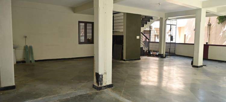 北方光环(Northern Aura)图片