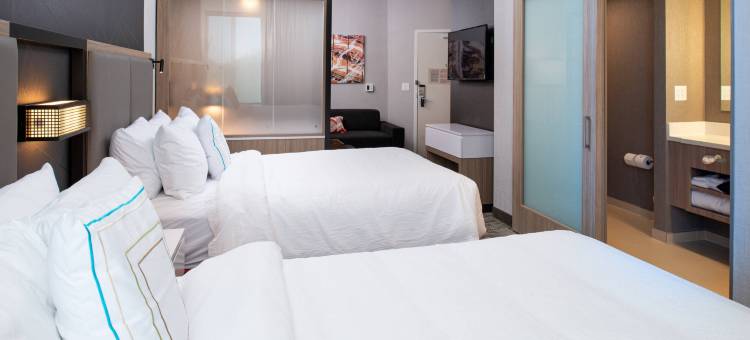 SpringHill Suites Kansas City Northeast图片